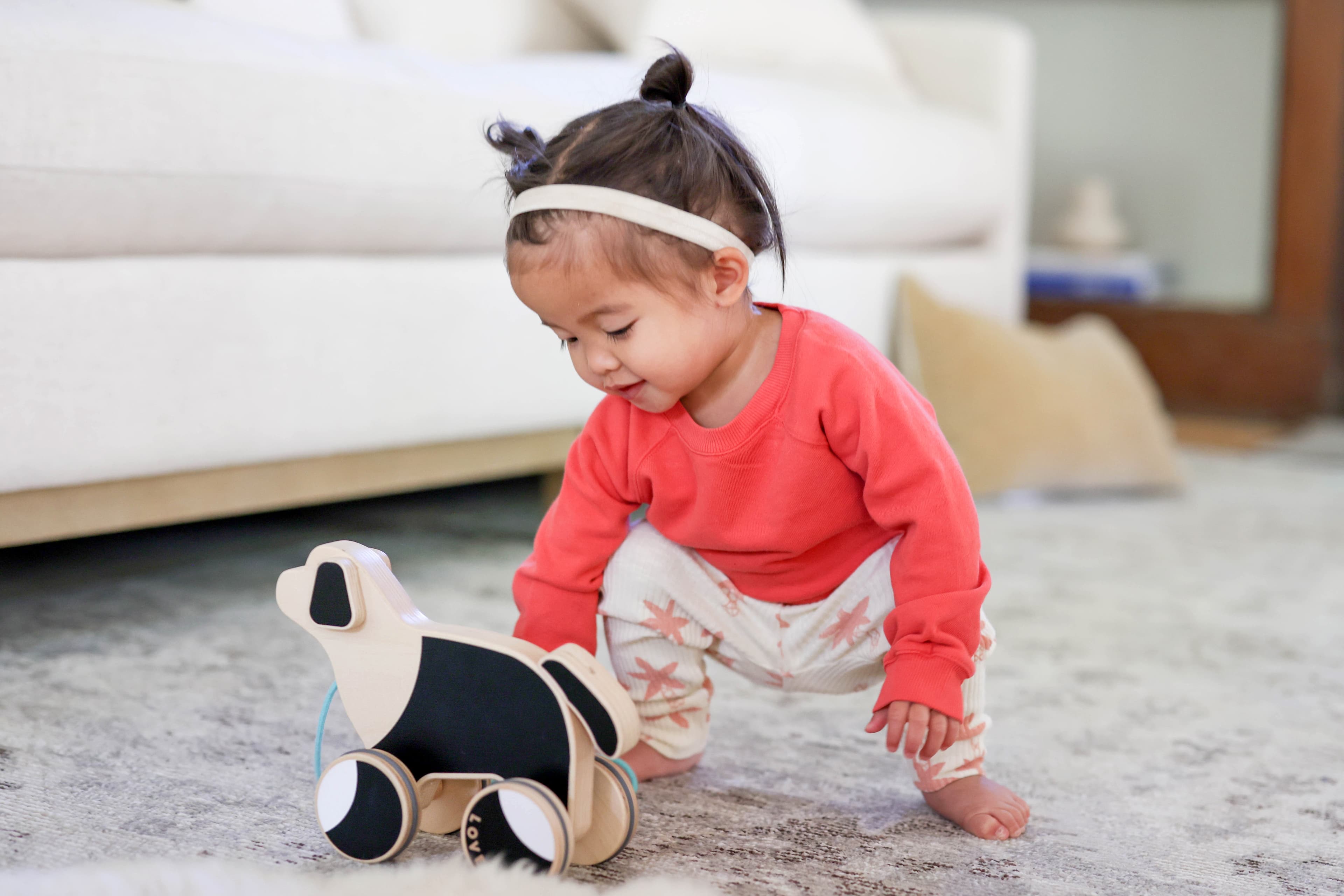 Pull Pup Side by Side Image - German